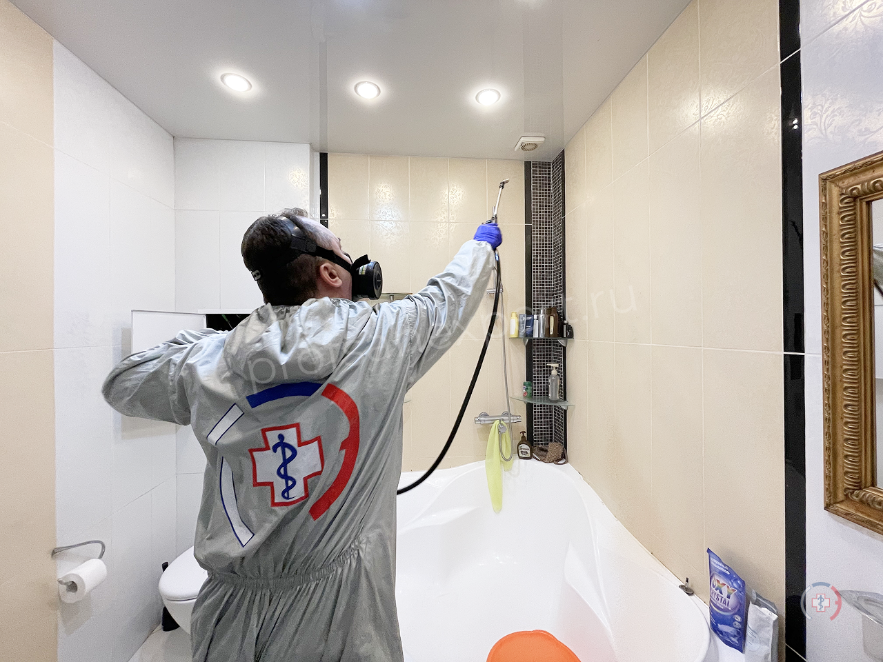 Всё о дезинсекции от тараканов