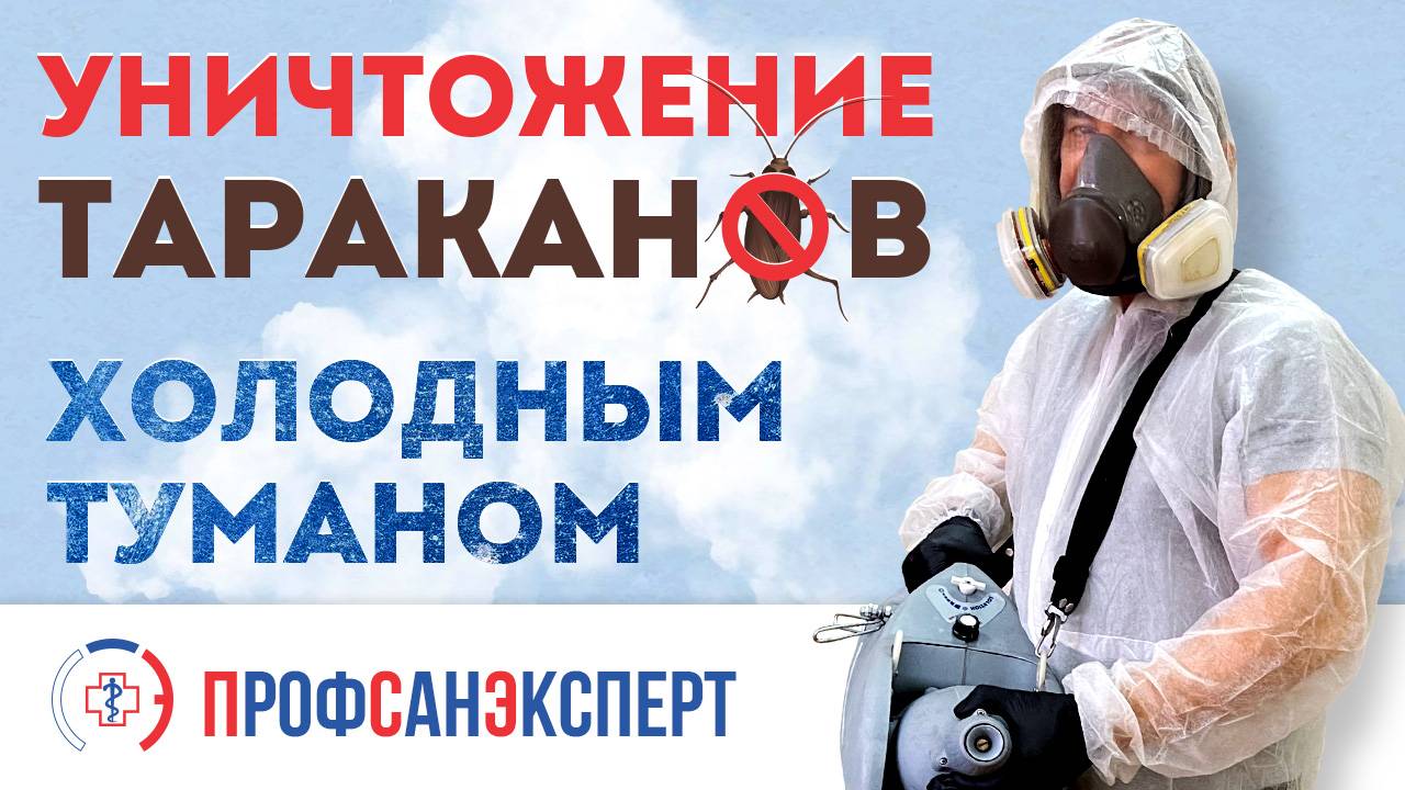 Видео превью