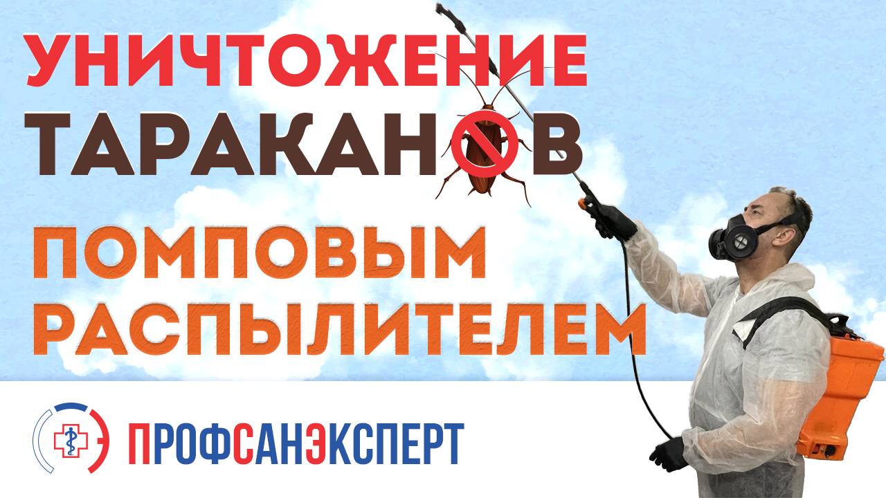 Видео превью